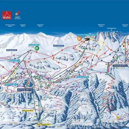 Aleid Sunshine * Fiesch