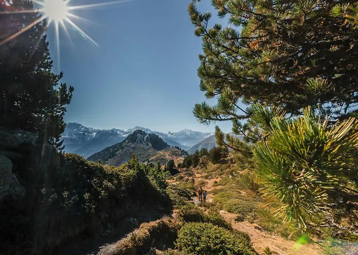 Apartman Aleid Sunshine Fiesch