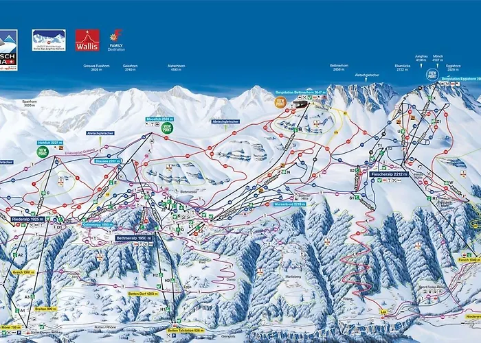 Aleid Sunshine * Fiesch