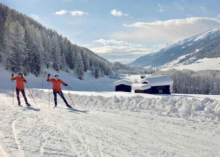 Aleid Sunshine Apartman *