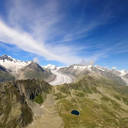 Appartement Aleid Sunshine Fiesch